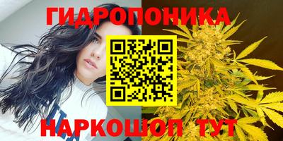 твердый Кинель