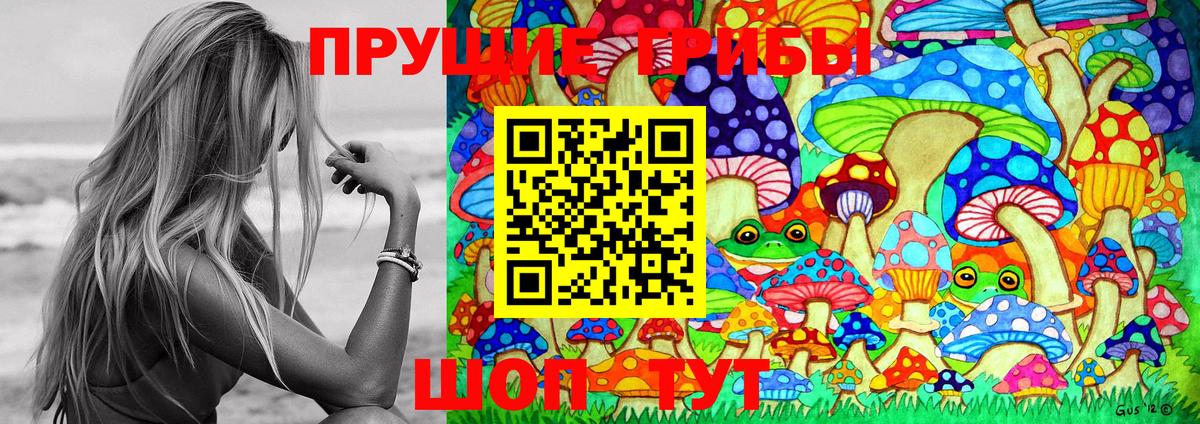 Псилоцибиновые грибы Cubensis Котовск