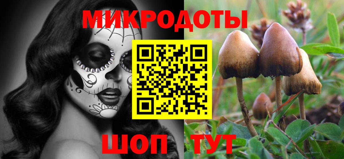 Котовск  Галлюциногенные грибы Cubensis  Вход с VPN 