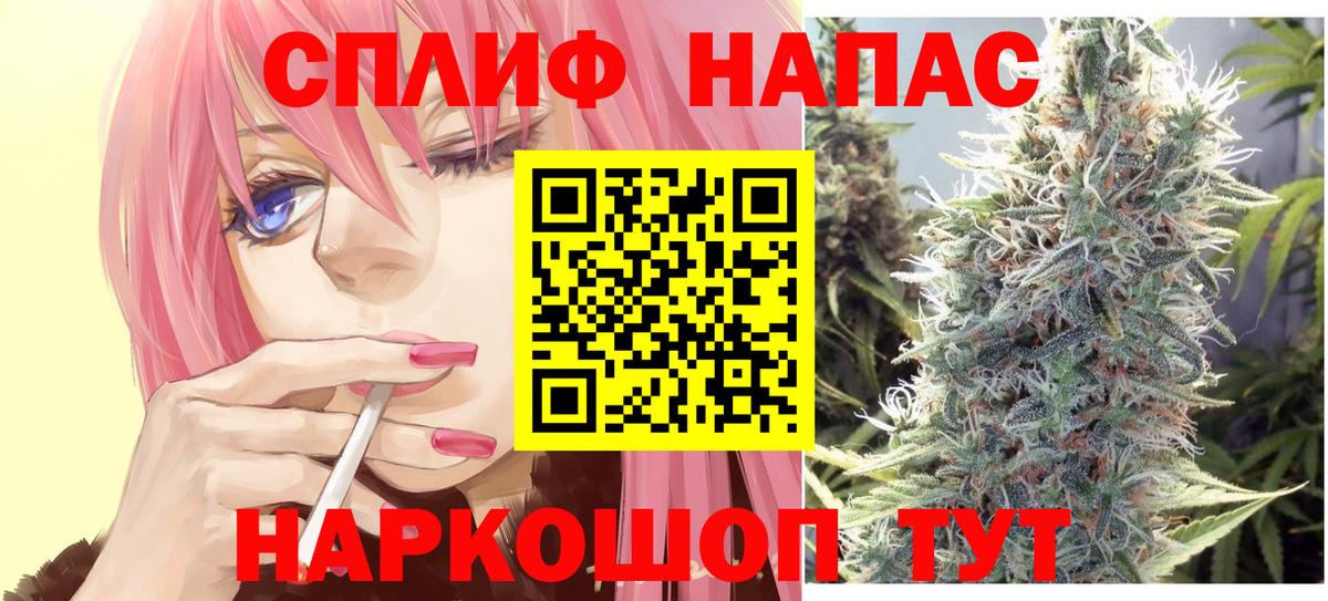 Конопля MAZAR  Бошки Шишки тримм  Вход с VPN  Котовск 